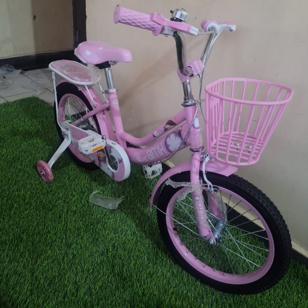 Bikes for Kids, Pink BMX Bike with Training Wheels & Basket - Girls Children's Bicycle